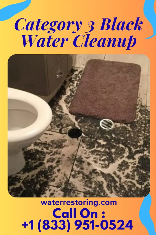 Category 3 Black Water Cleanup in Kaskaskia, IL